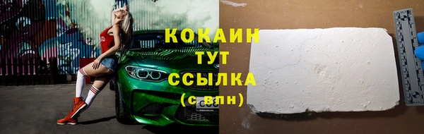 трава Богородицк