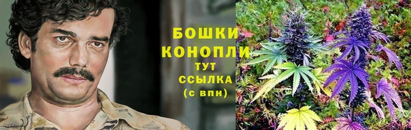 марки lsd Бородино