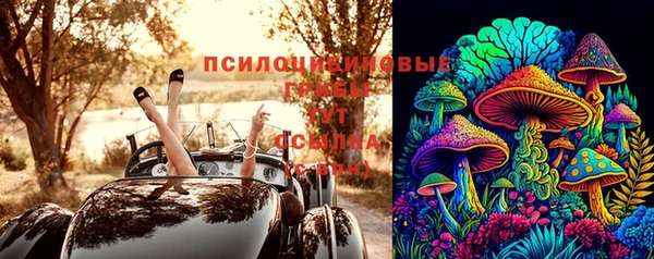 таблы Богородск